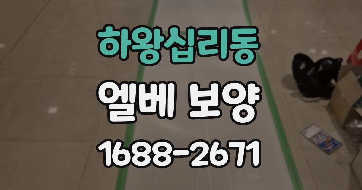하왕십리동 엘베 보양