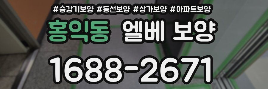 홍익동 엘베 보양