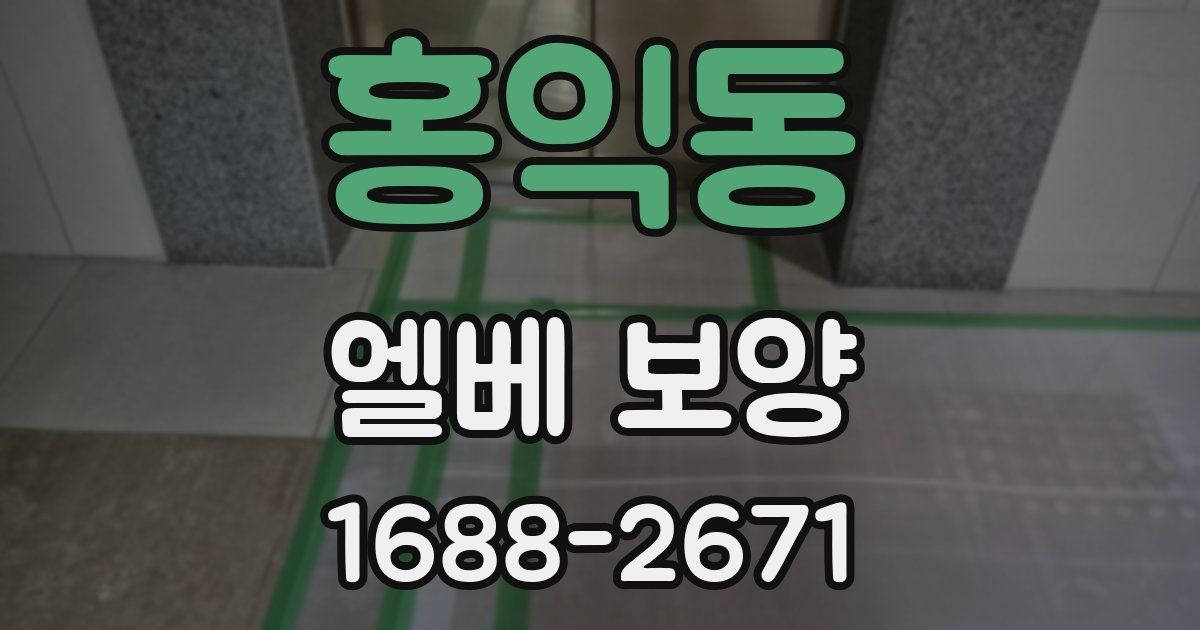 홍익동 엘베 보양