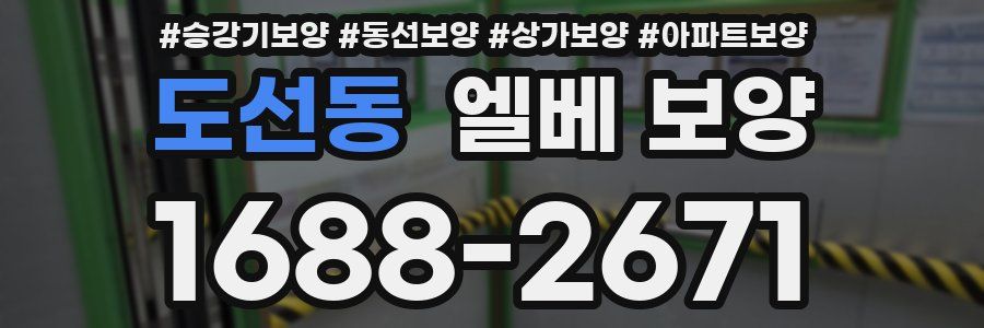 도선동 엘베 보양