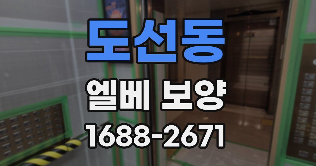 도선동 엘베 보양