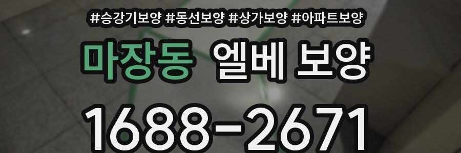 마장동 엘베 보양