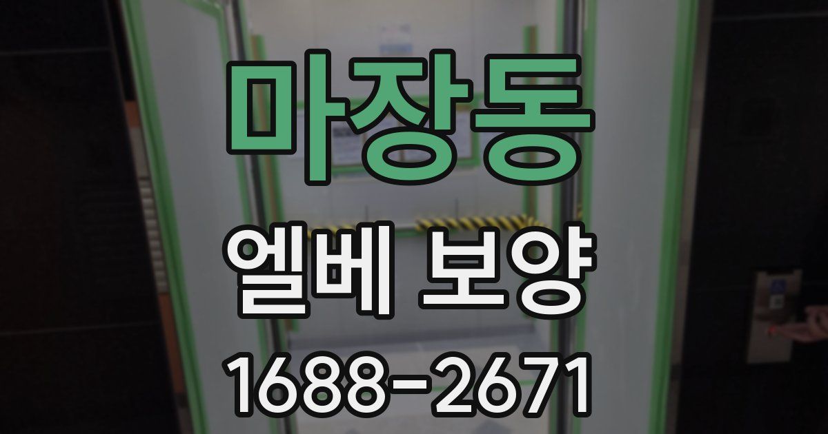 마장동 엘베 보양