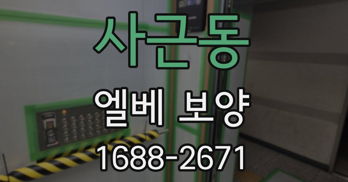 사근동 엘베 보양