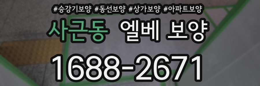 사근동 엘베 보양