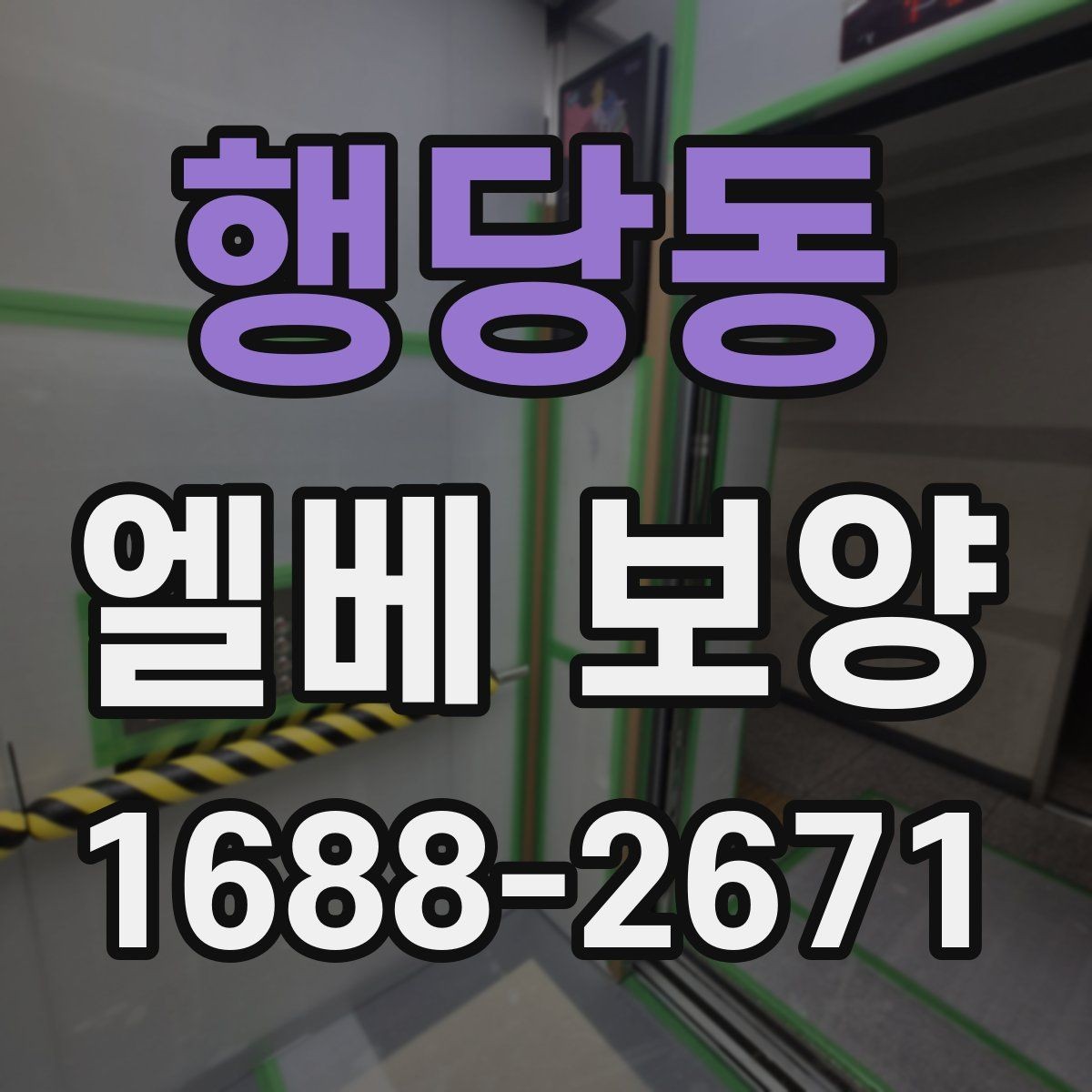 행당동 엘베 보양 문 주변 손상 줄이려면 마감부터 살펴야 하는 이유