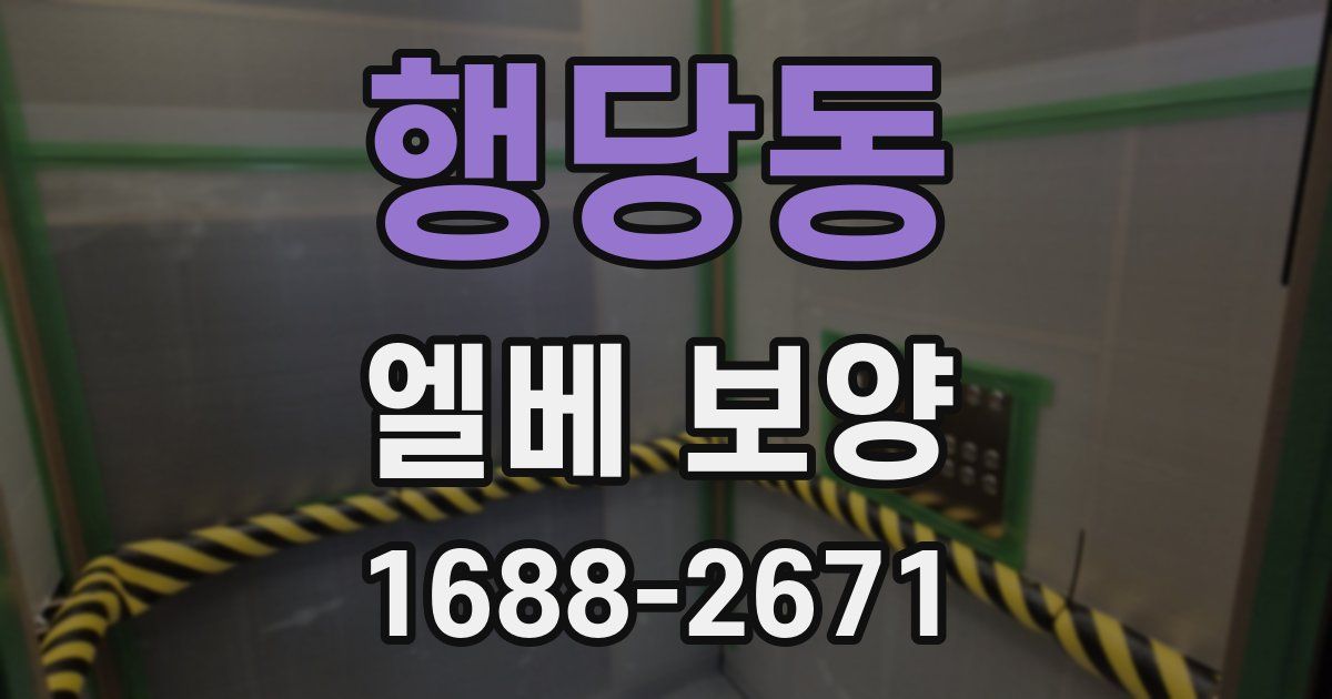 행당동 엘베 보양