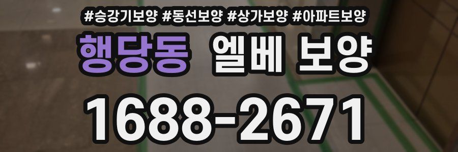 행당동 엘베 보양