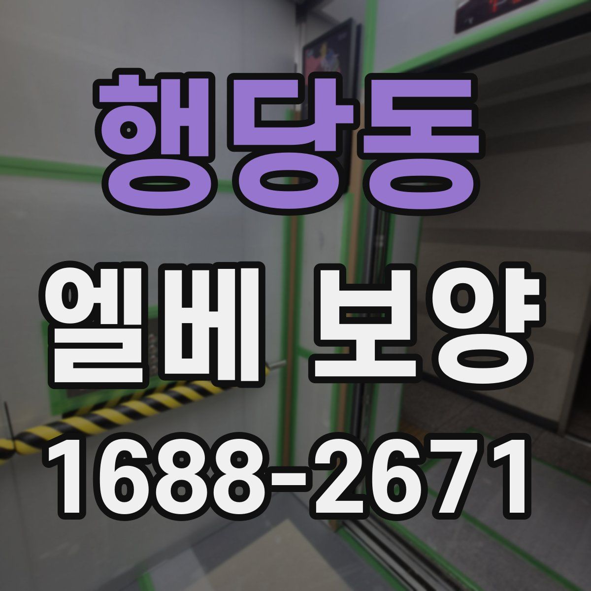 행당동 엘베 보양