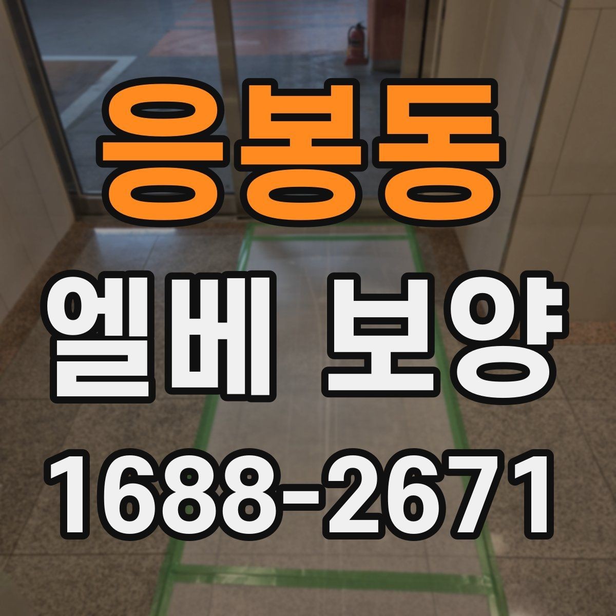 응봉동 엘베 보양 사진으로 시공 상태를 설명하는 방법