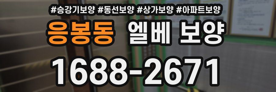 응봉동 엘베 보양