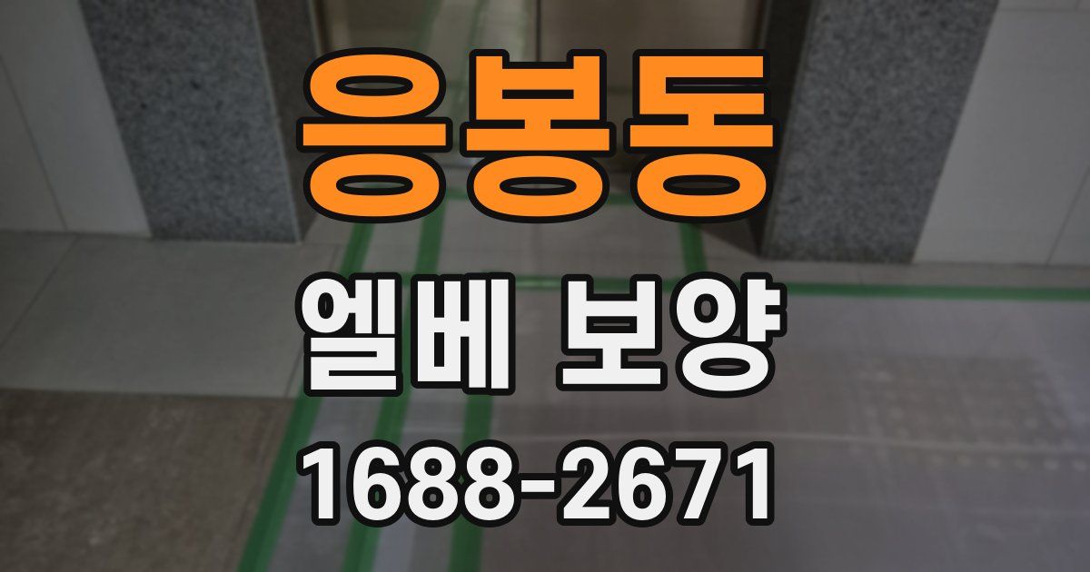 응봉동 엘베 보양