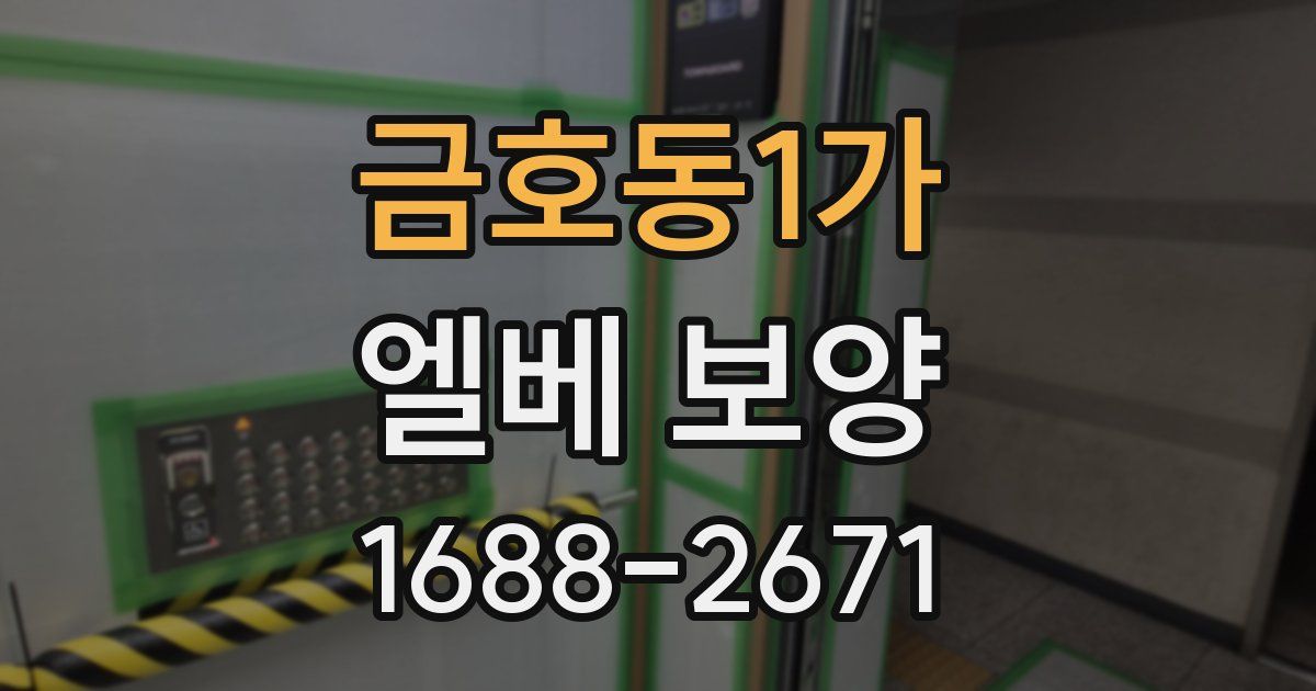 금호동1가 엘베 보양