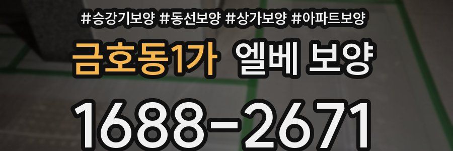 금호동1가 엘베 보양