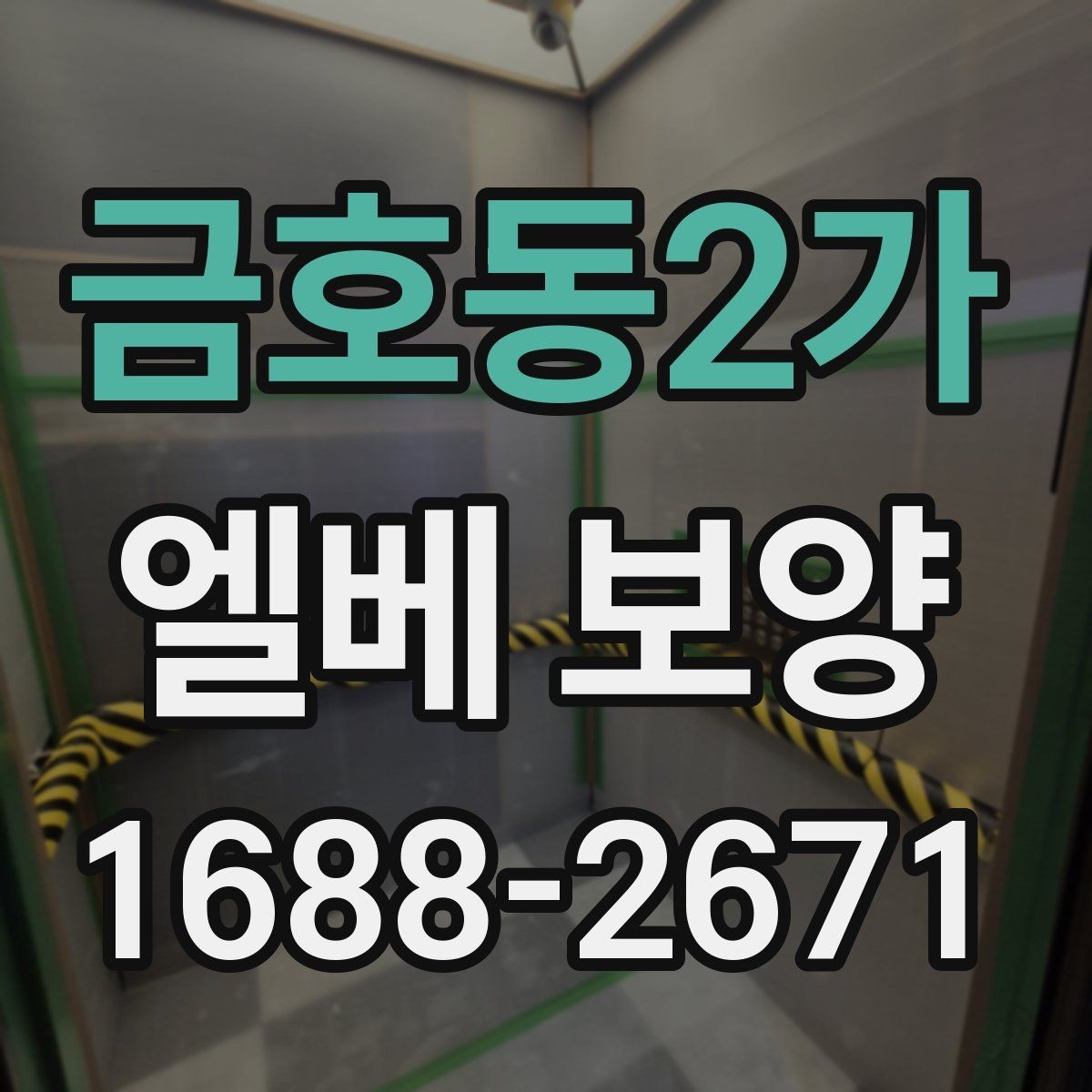 금호동2가 엘베 보양 보행자 왕래가 잦은 구간의 관리 요령