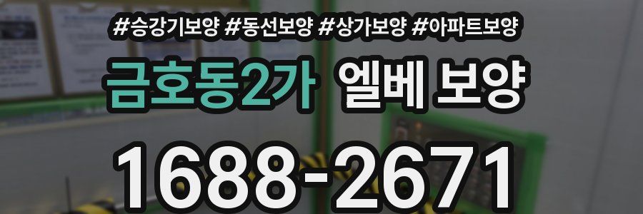 금호동2가 엘베 보양