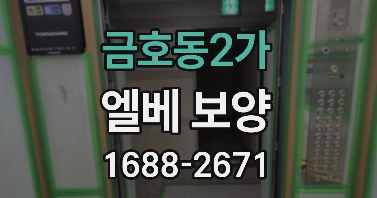 금호동2가 엘베 보양