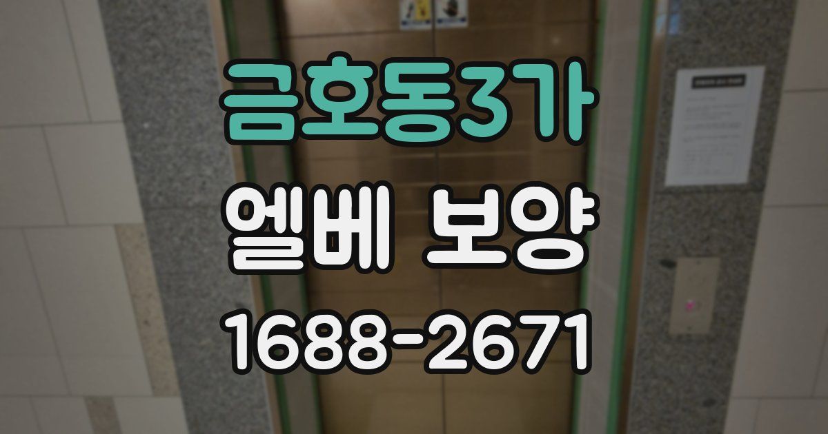 금호동3가 엘베 보양