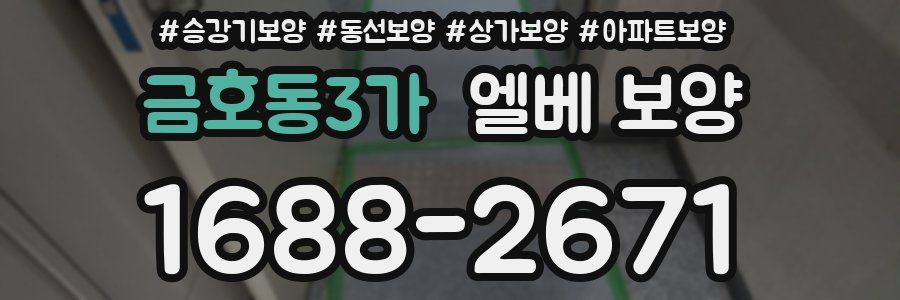 금호동3가 엘베 보양