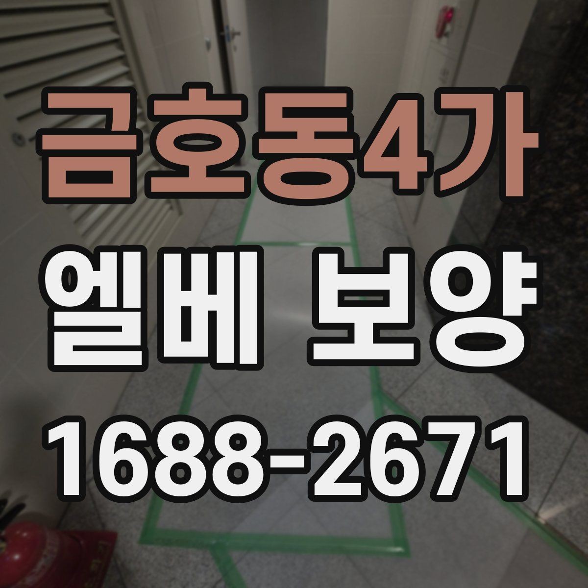 금호동4가 엘베 보양 시트 마감에서 자주 하는 실수와 예방