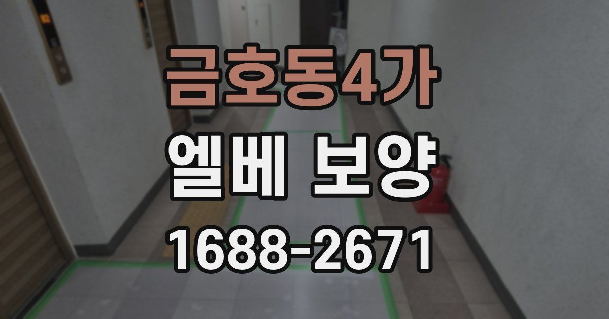 금호동4가 엘베 보양