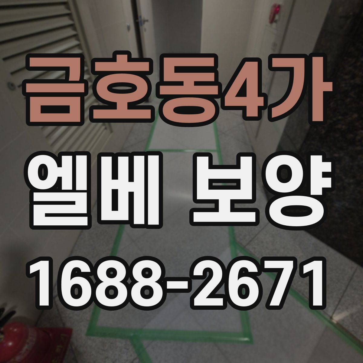 금호동4가 엘베 보양