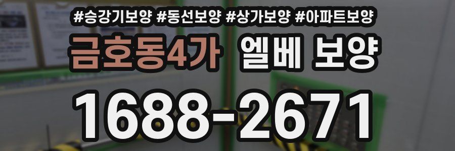 금호동4가 엘베 보양