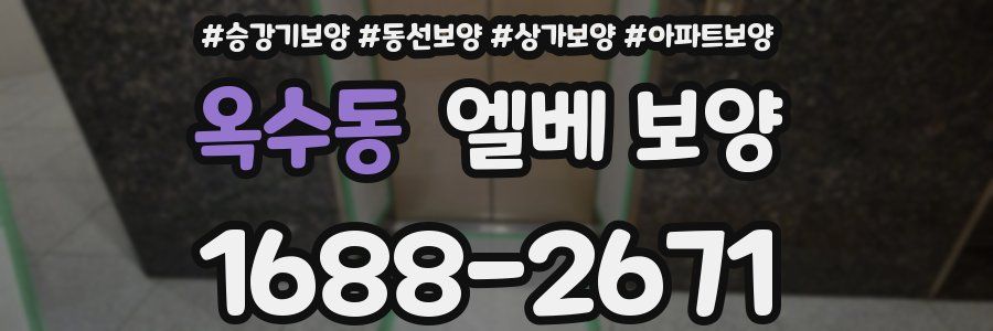 옥수동 엘베 보양