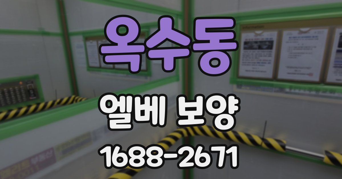 옥수동 엘베 보양