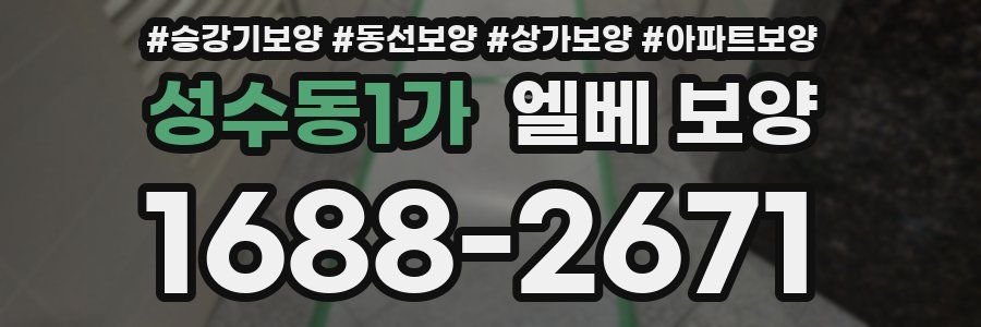성수동1가 엘베 보양