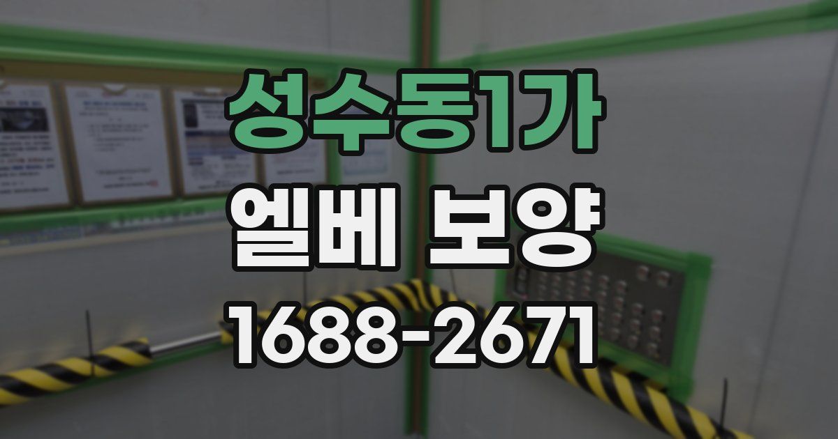 성수동1가 엘베 보양