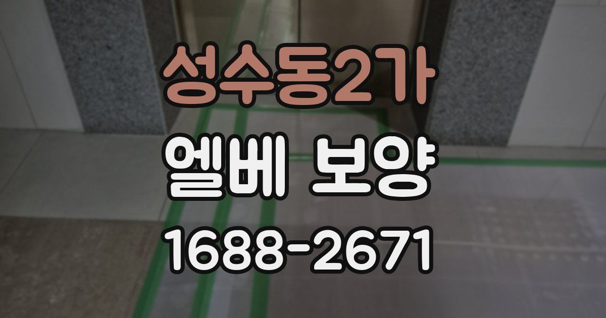 성수동2가 엘베 보양