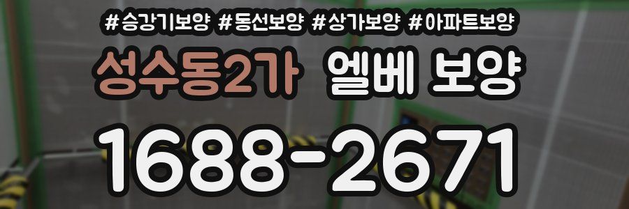 성수동2가 엘베 보양