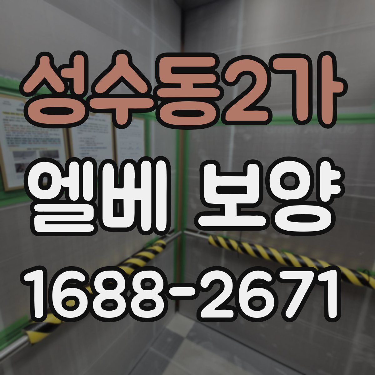 성수동2가 엘베 보양