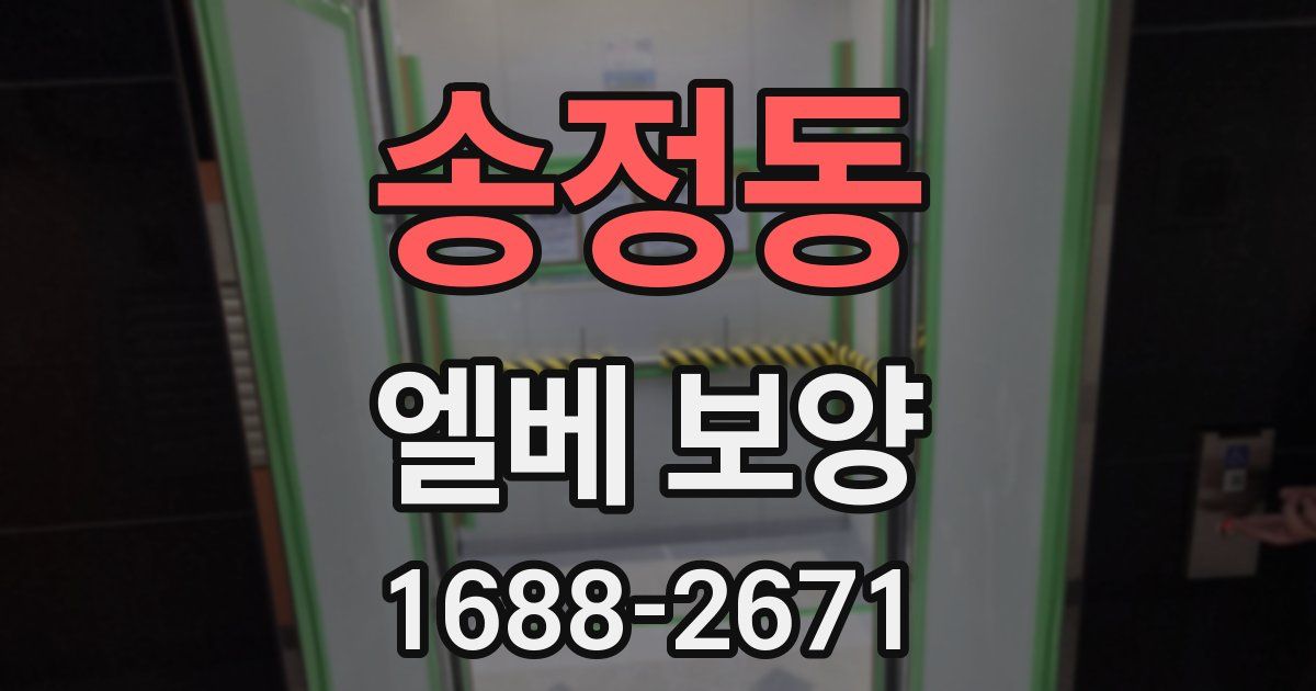 송정동 엘베 보양