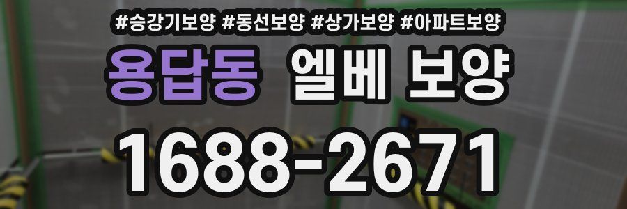 용답동 엘베 보양