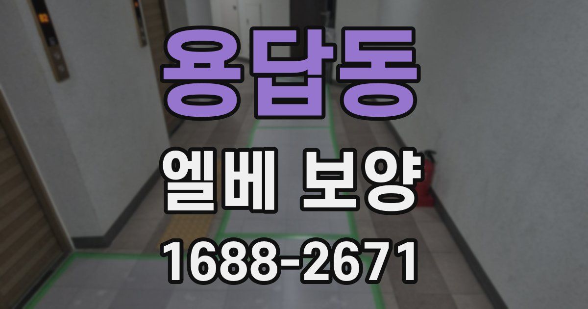 용답동 엘베 보양