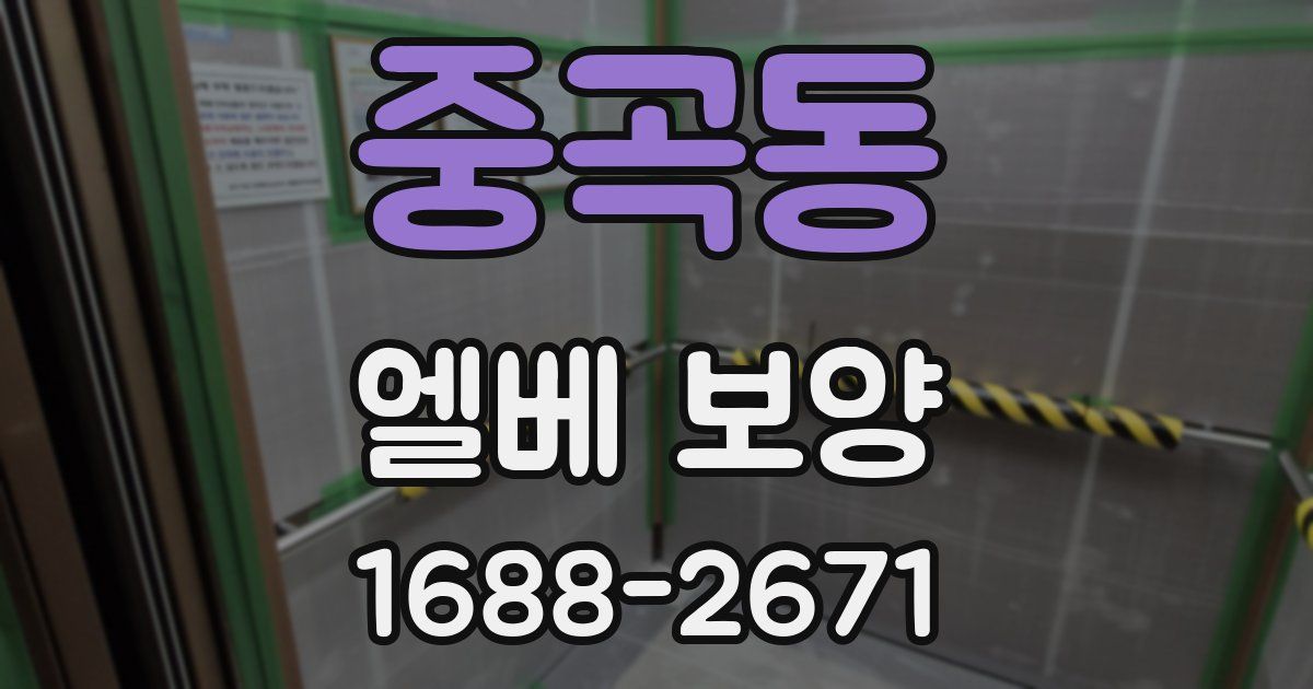 중곡동 엘베 보양