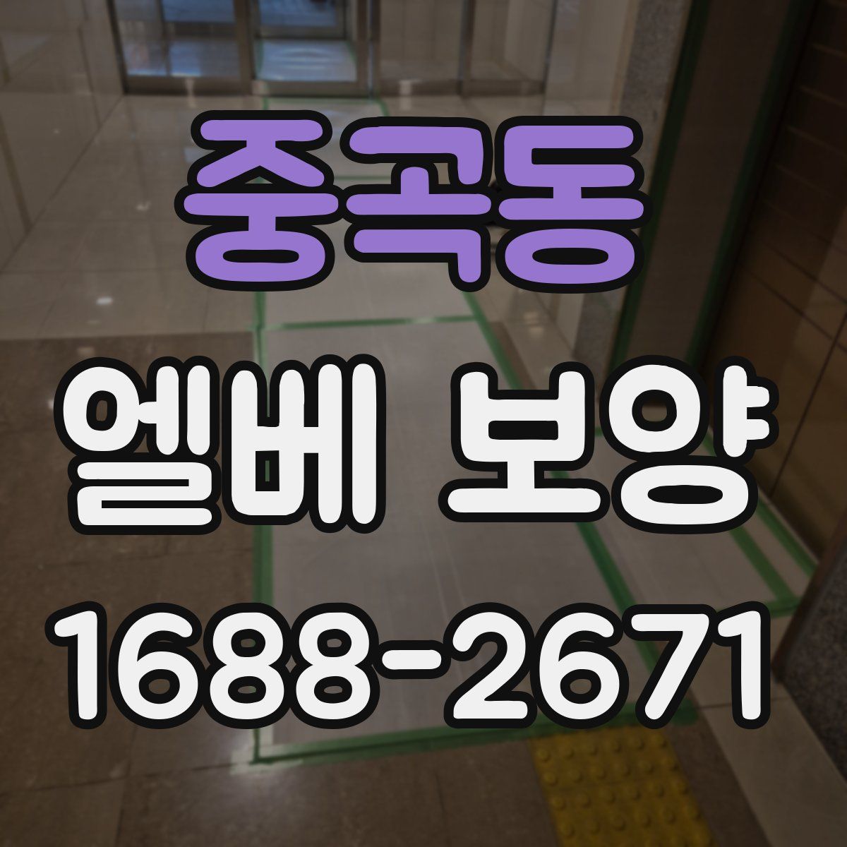 중곡동 엘베 보양