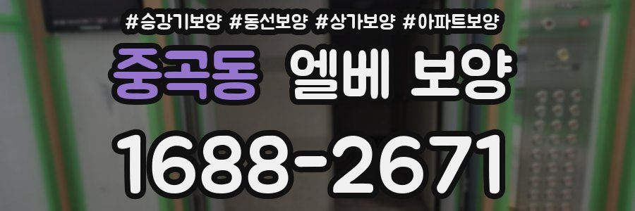 중곡동 엘베 보양