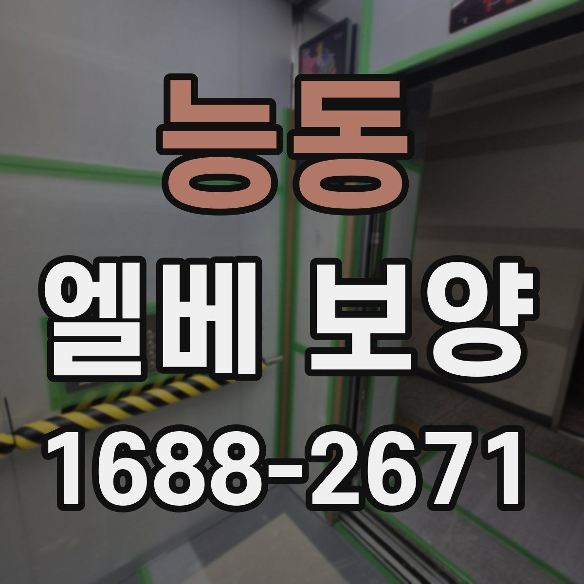 능동 엘베 보양 관리규정에 맞춰 적용하는 방식