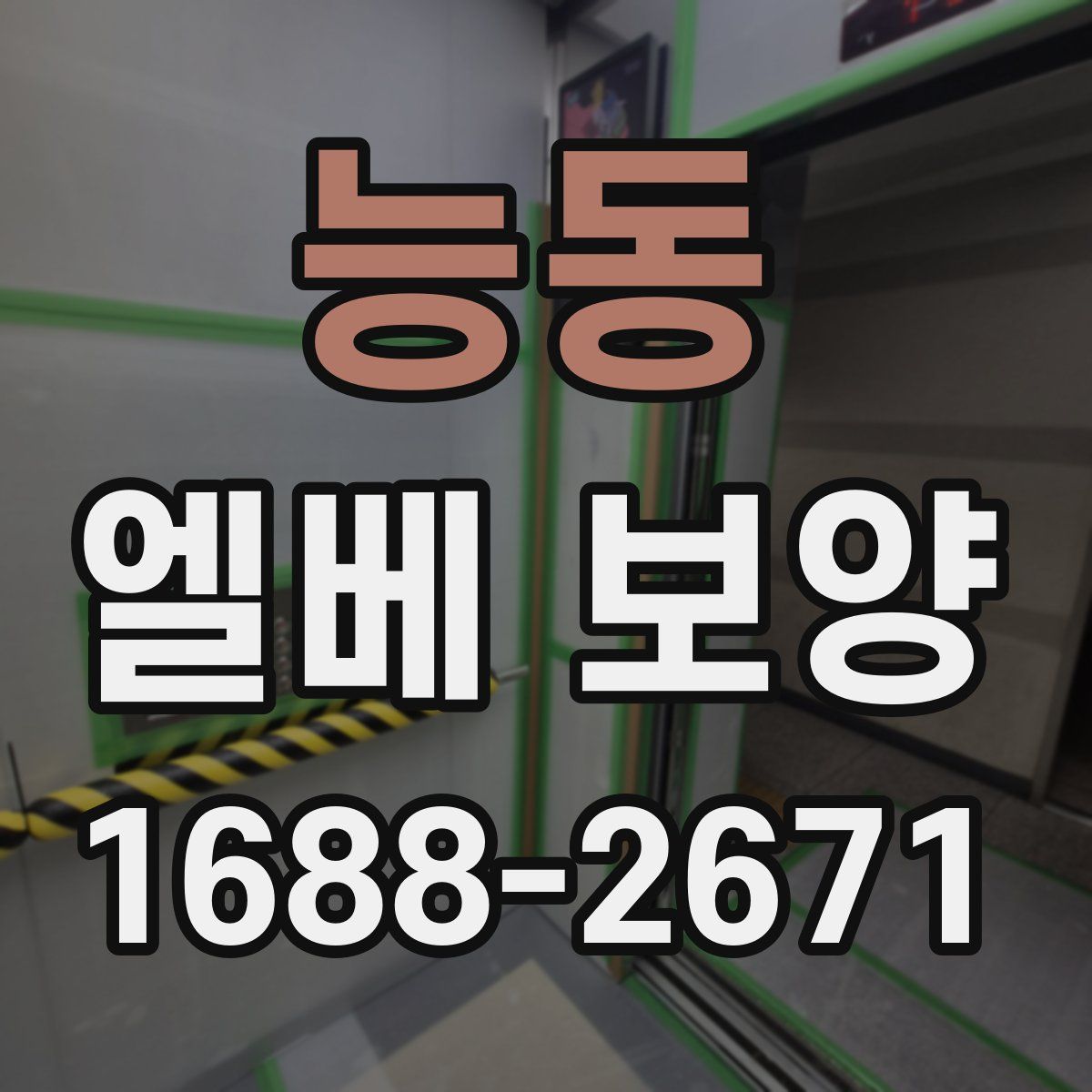 능동 엘베 보양