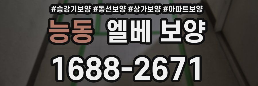 능동 엘베 보양