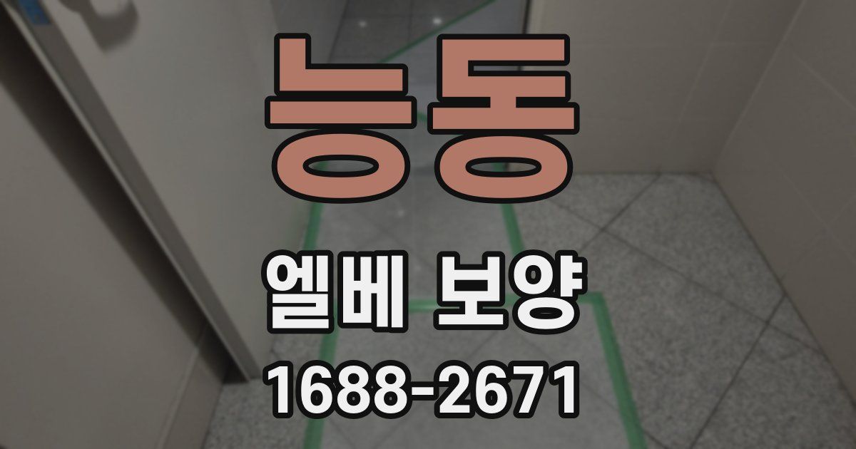 능동 엘베 보양