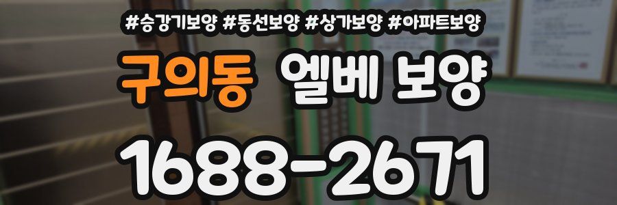 구의동 엘베 보양