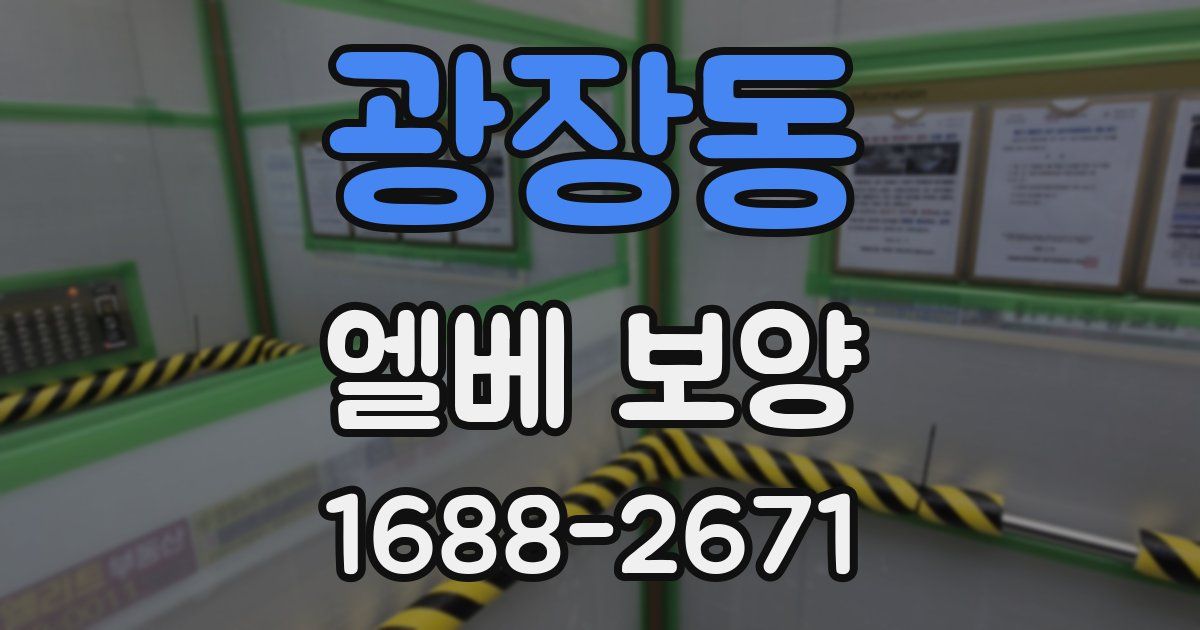 광장동 엘베 보양