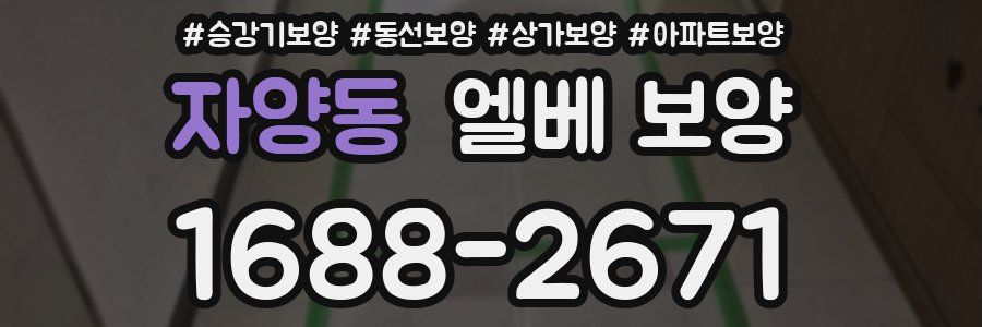 자양동 엘베 보양