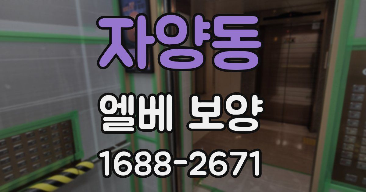 자양동 엘베 보양