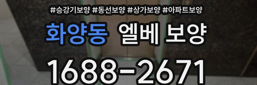 화양동 엘베 보양