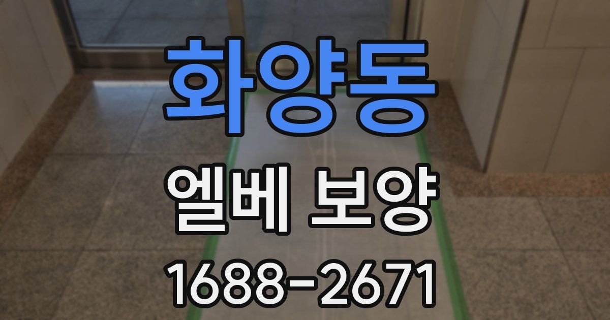 화양동 엘베 보양